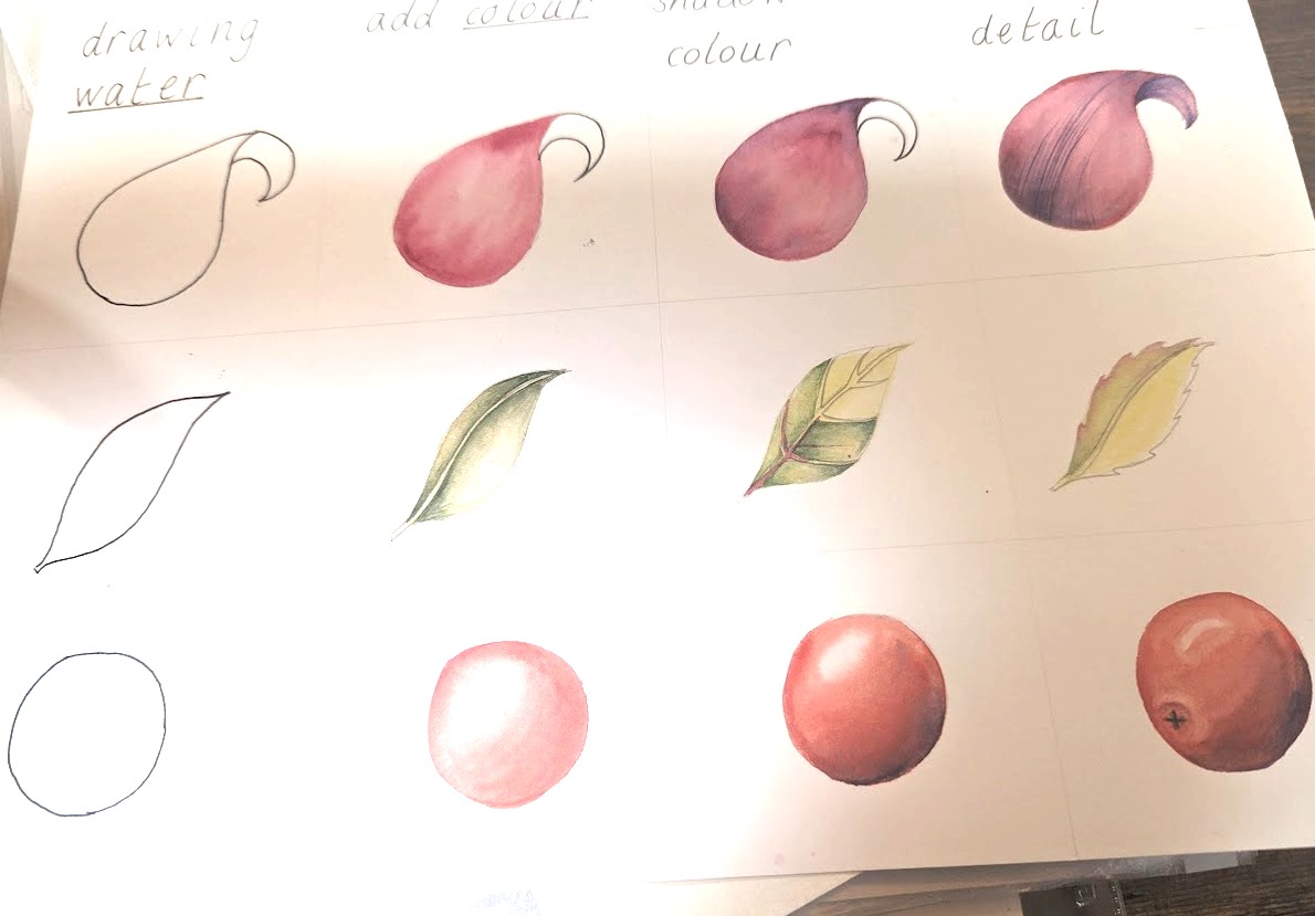 'Botanical Art for the Terrified' with Lis Bramwell 
