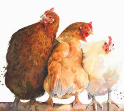 "Girls’ Night In' ~  A Two-Day Watercolour Workshop'  ~ with Sarah Stokes