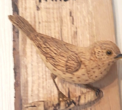 'Bird Whittling' ~ a two day course with Dave Harter