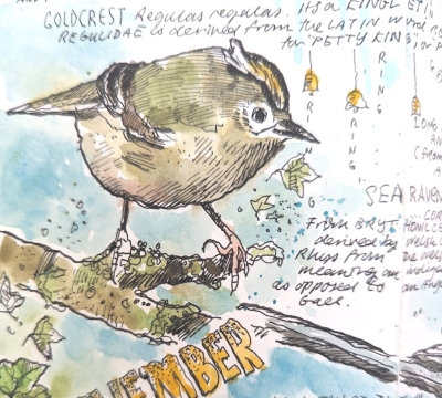 'Shortcut to Nature Journalling' with Steve Pardue